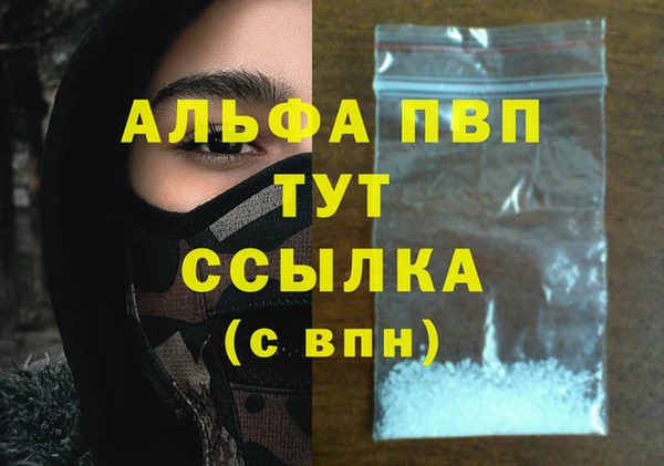 гидра Алзамай